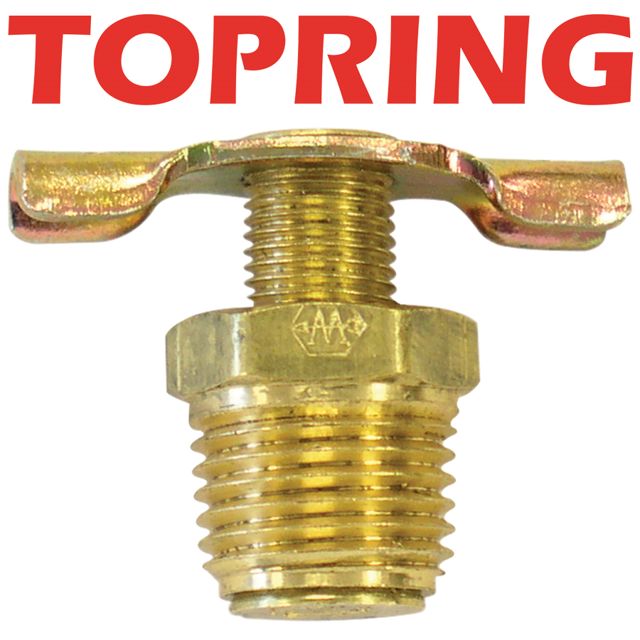 ROBINET DE PURGE 1/4 NPT (M)
