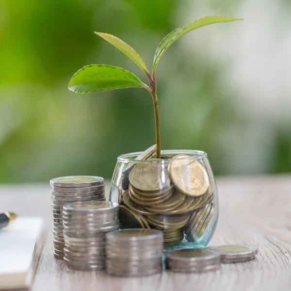 Une plante verte dans un bocal en verre rempli d'argent, posé sur une table en bois, symbolisant la croissance financière.